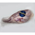 Veal Tongue of Milk Fed Veals from Holland, 1.7lbs