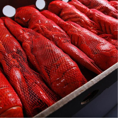 Frozen whole cooked lobster, size 350-400G (Canada)